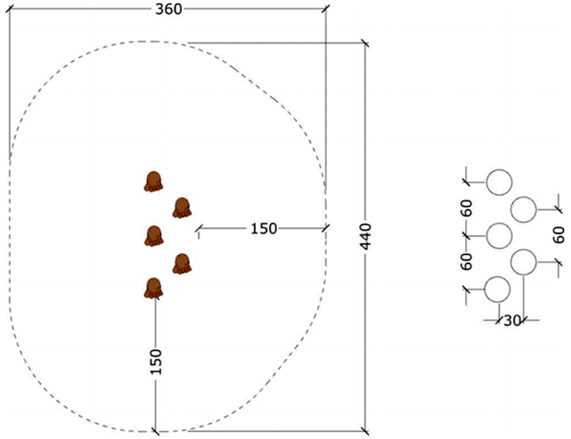 Björnfötter 2 - bild 2
