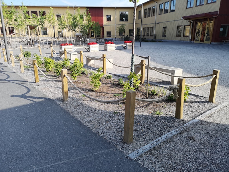 Blomlådor