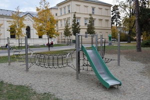 Snårig skog - bild 2