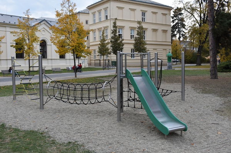 Snårig skog - bild 2