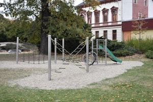 Snårig skog - bild 3