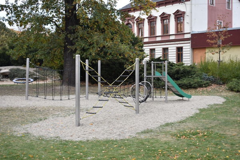 Snårig skog - bild 3