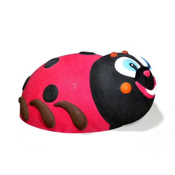 Ladybird