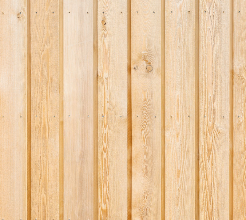 Sibirisk lärk - bild 4