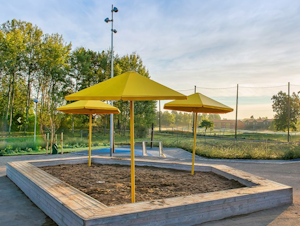 Organowood - bild 8