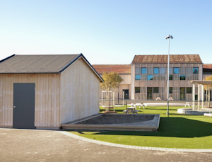Organowood - bild 10