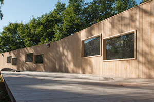 Organowood - bild 13