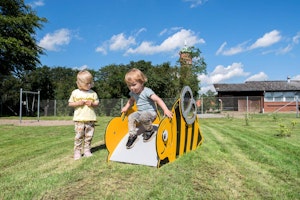 Brum - bild 4