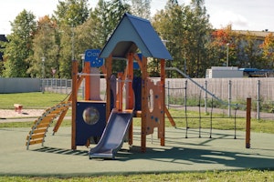 Lacerta - bild 6