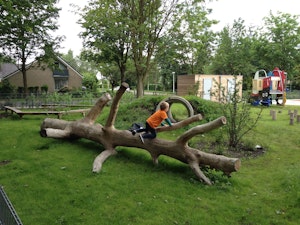 Naturligt Lekträd (LEK4195781) - bild 3