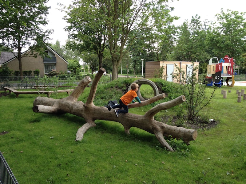 Naturligt Lekträd - bild 3