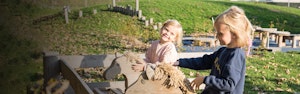 Manfred (LEK31513) - bild 2