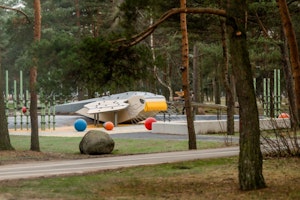 Gåshök - bild 4