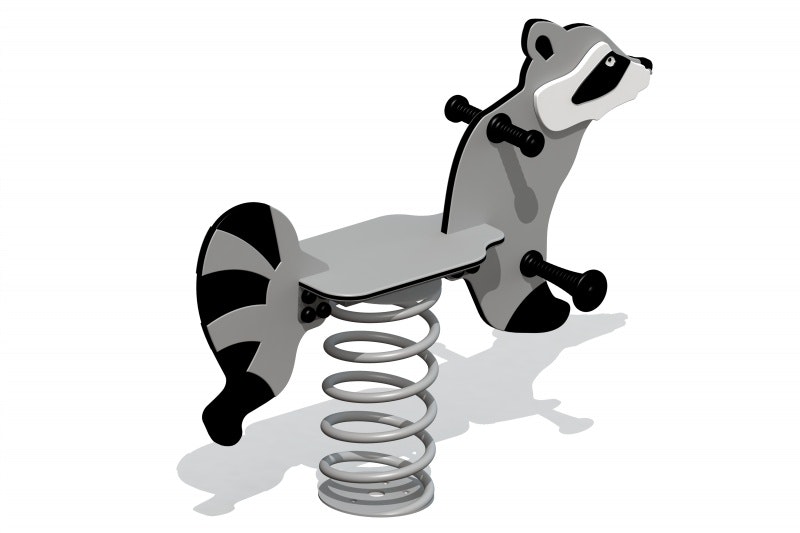 Tvättbjörn - bild 2