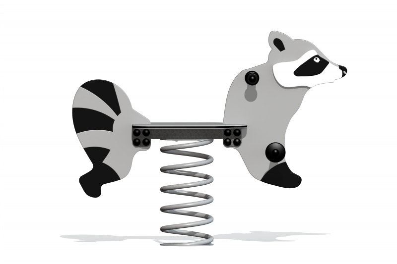 Tvättbjörn - bild 3