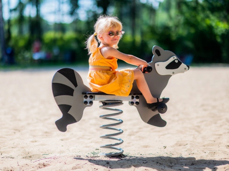 Tvättbjörn - bild 5