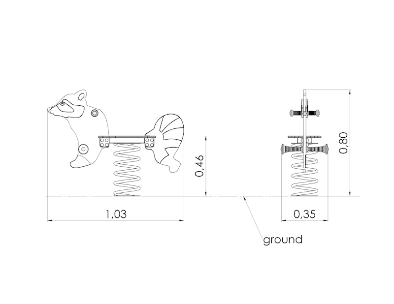Tvättbjörn - bild 6