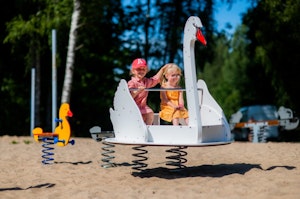 Svan - bild 6