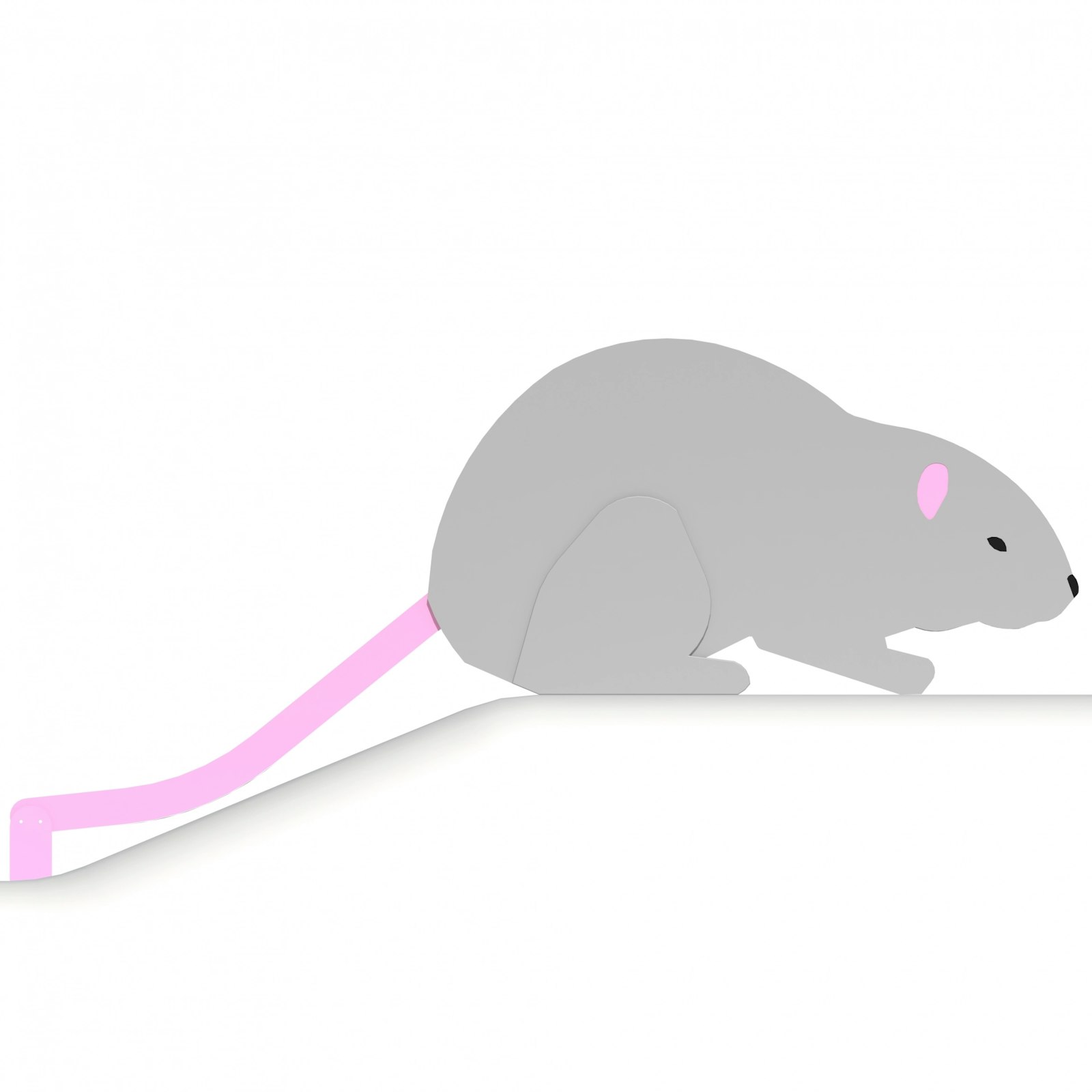 Rat - Rutschkana