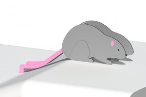 Rat - Rutschkana - bild 2