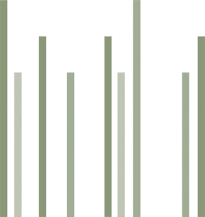 Dekorations strån - bild 1