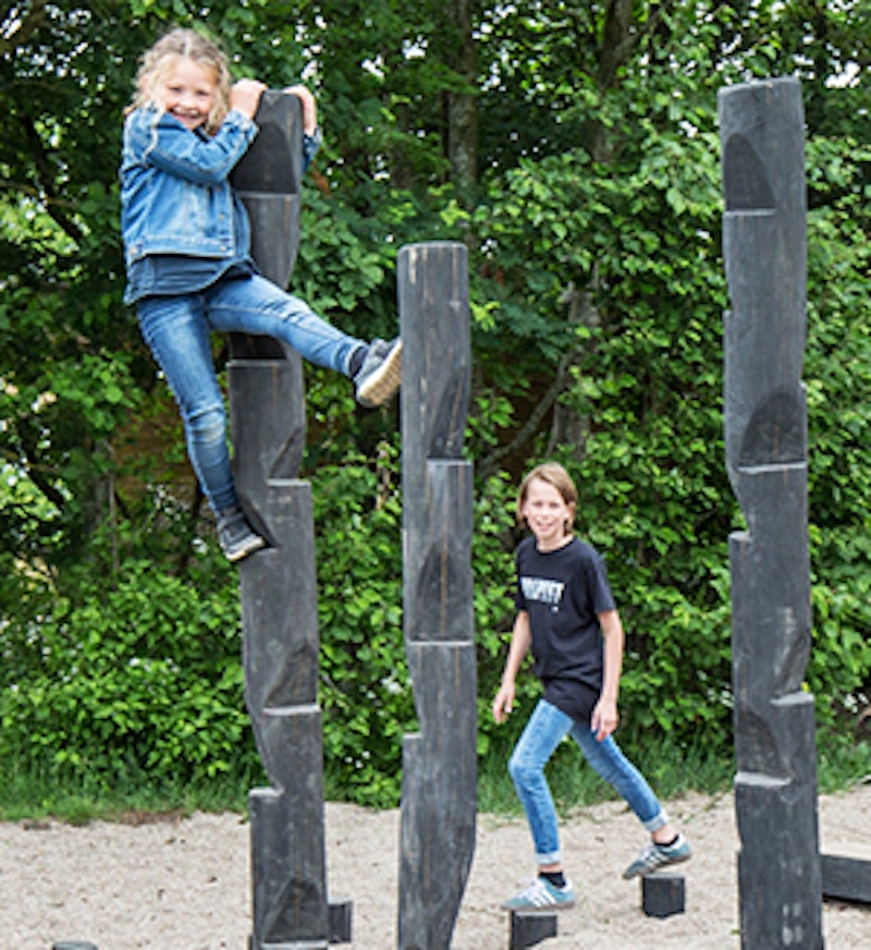 Robinia Klätterstolpe - bild 2