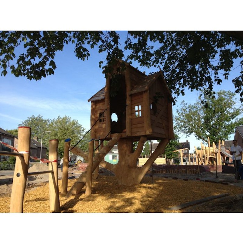 Fågelnästet - bild 7