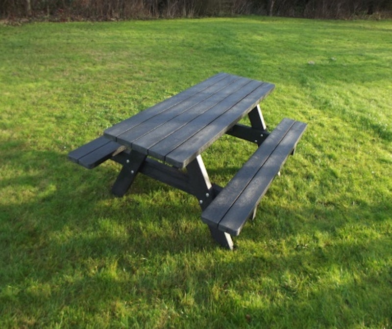 Picnic 2010 - bild 4