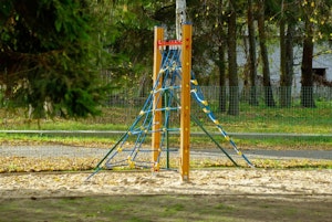 Lyra - bild 5