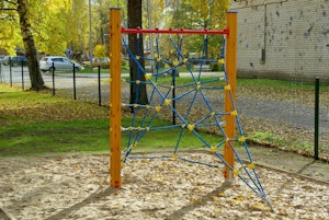 Lyra - bild 6