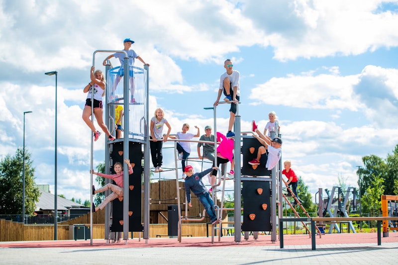 Octoclimb 2 - bild 9