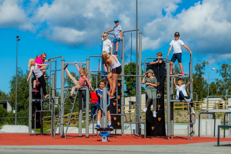 Octoclimb 2 - bild 12