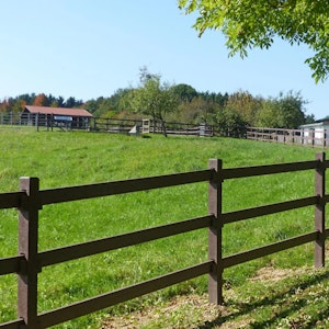 Staket Horse - bild 2