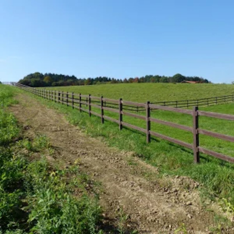 Staket Horse - bild 3