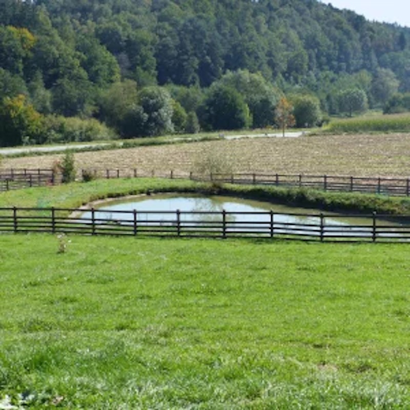 Staket Horse - bild 4