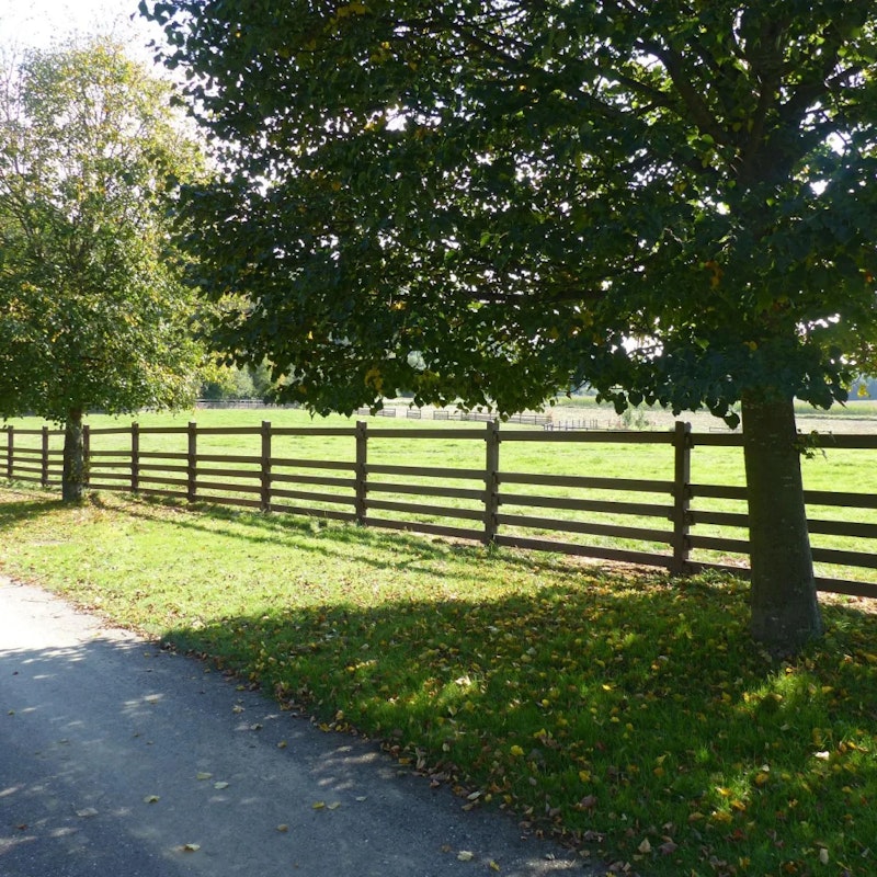 Staket Horse - bild 5