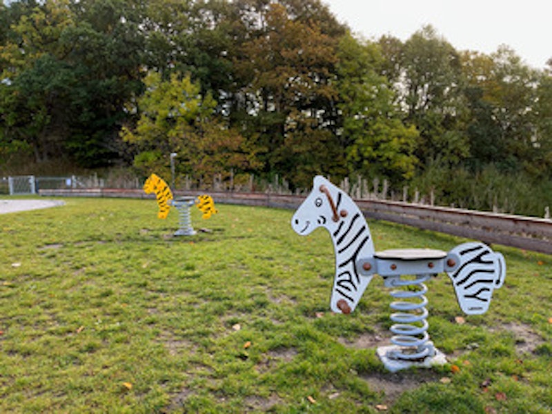 Zebra - bild 6