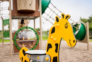 Giraff - bild 6