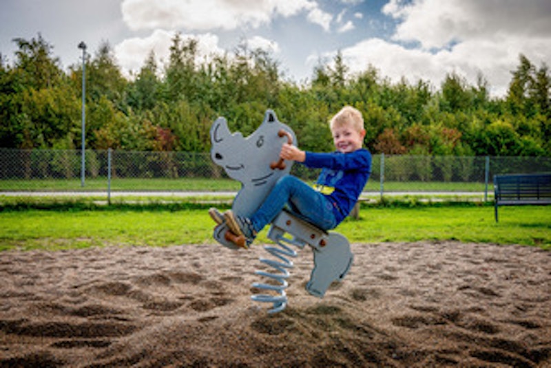 Noshörning - bild 4