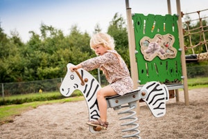 Zebra - bild 5