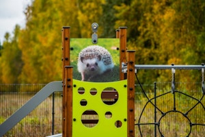 Eget tryck - bild 5