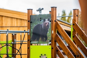 Eget tryck - bild 6