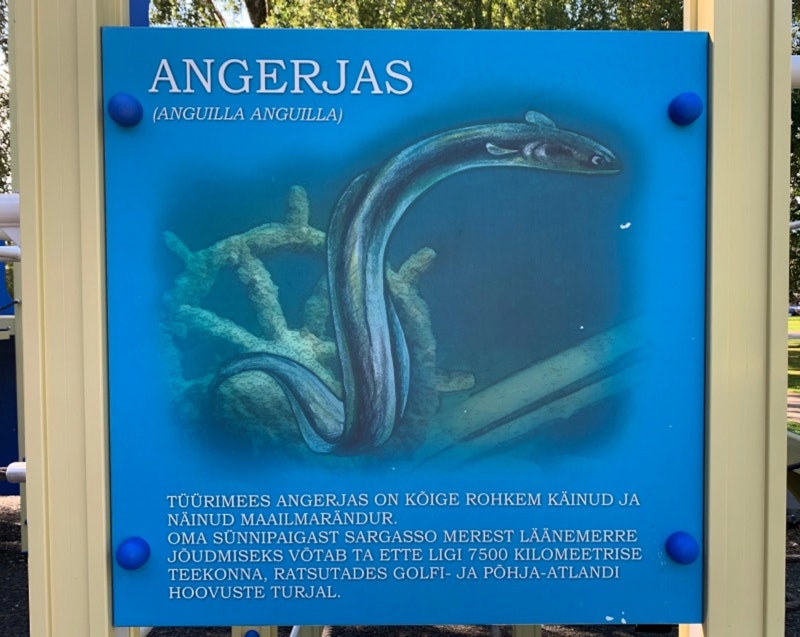 EGET TRYCK - bild 14