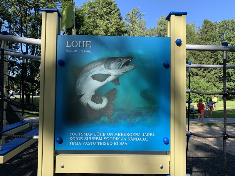 EGET TRYCK - bild 15