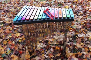 Capella (LEKperc0009) - bild 2