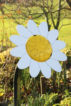 Daisy petal Drum - bild 3