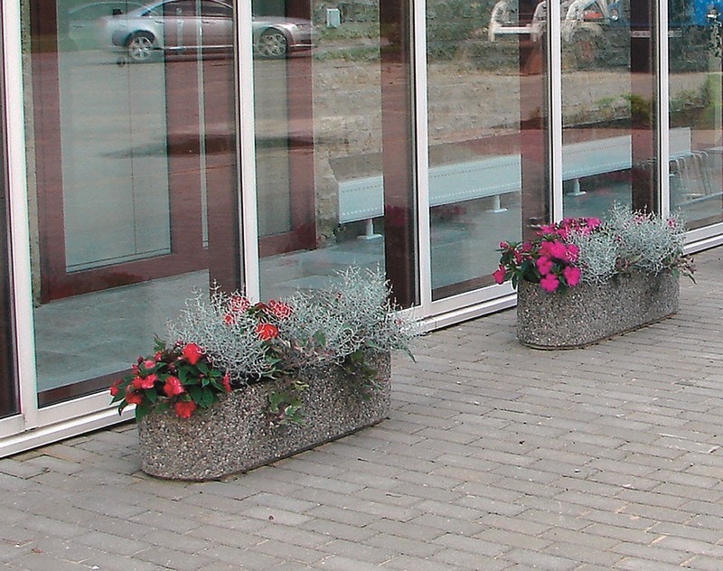 Sia (LekGe-daisy-blmlda) - bild 2