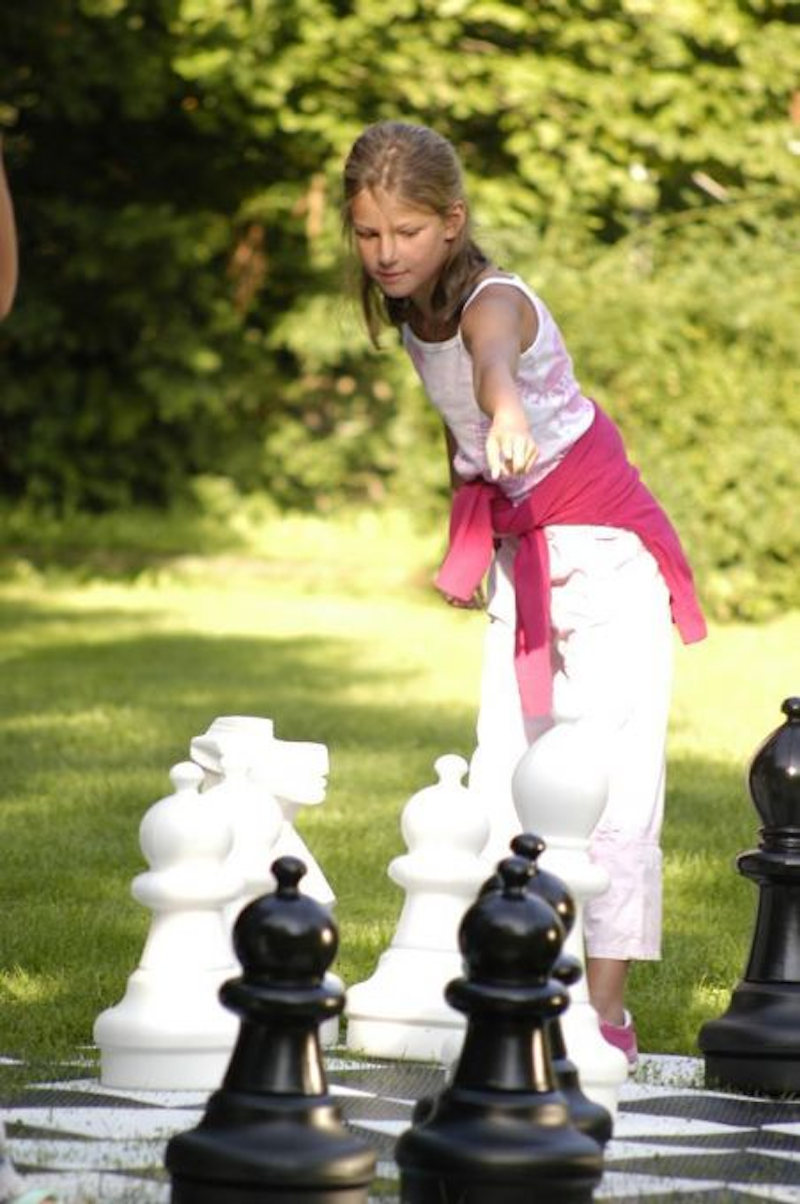 Schackpjäser - bild 3