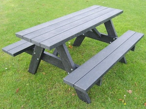 Picnic 2010 - bild 7