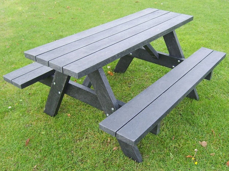 Picnic 2010 - bild 7